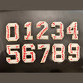 Chenille letter and number patch, 2.75 inch, iron-on